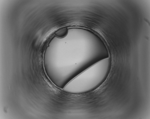 X0000101681115200807101138