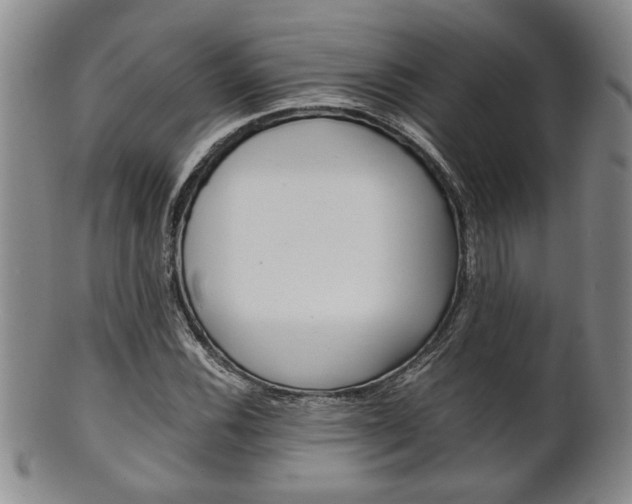 X0000101681116200807101138