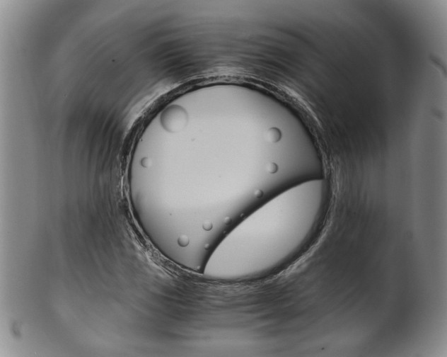 X0000101681117200807101138