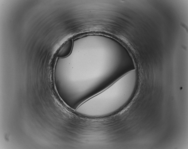 X0000101681118200807101138