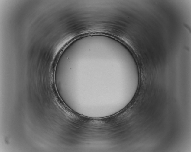 X0000101681119200807101138
