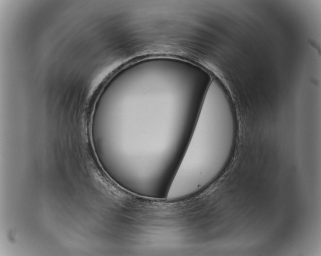 X0000101681120200807101138