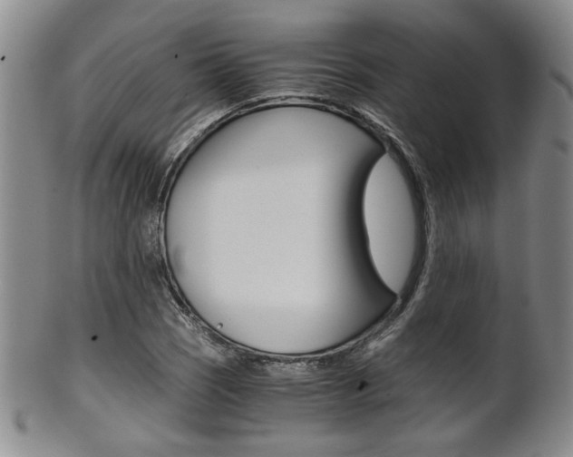 X0000101681121200807101138