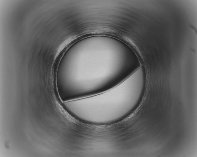 X0000101681122200807101138