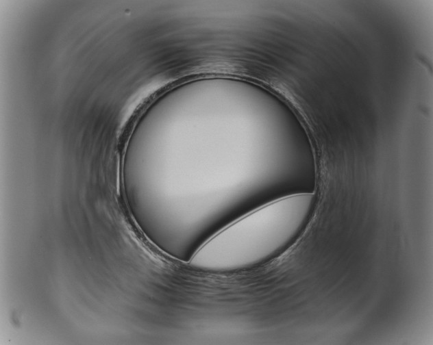 X0000101681123200807101138