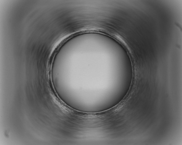 X0000101681124200807101138