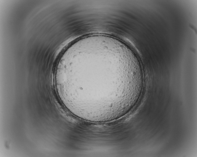 X0000101681125200807101138