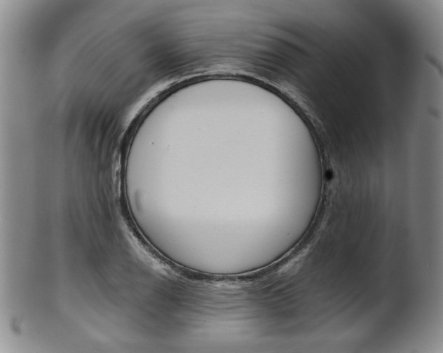X0000101681126200807101138