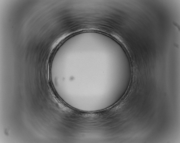X0000101681127200807101138