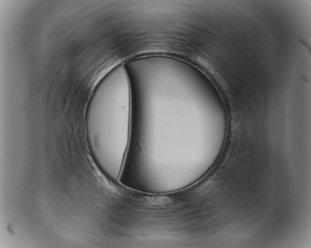 X0000101681129200807101138