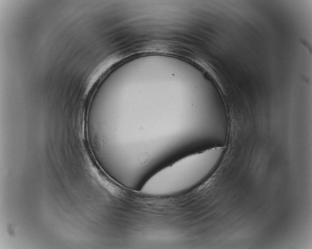 X0000101681131200807101138