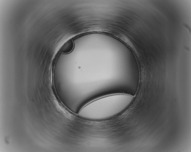 X0000101681132200807101138