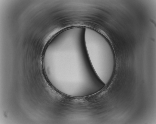 X0000101681133200807101138