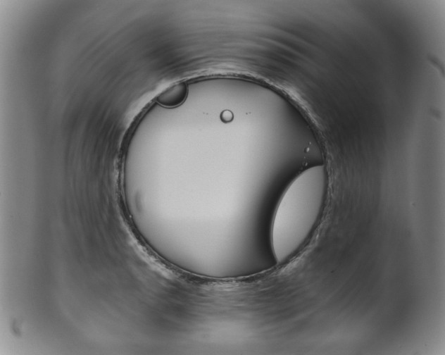 X0000101681134200807101138
