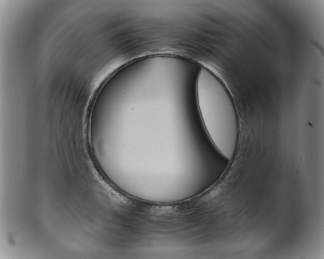 X0000101681135200807101138