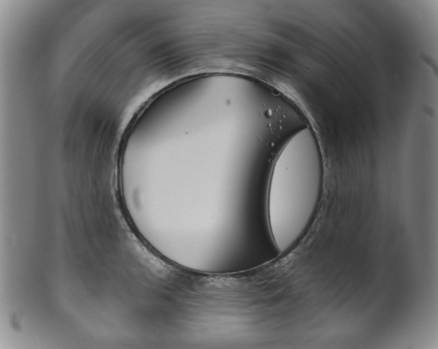 X0000101681136200807101138