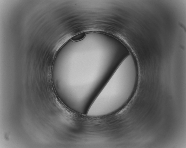 X0000101681137200807101138