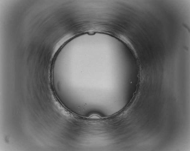 X0000101681138200807101138