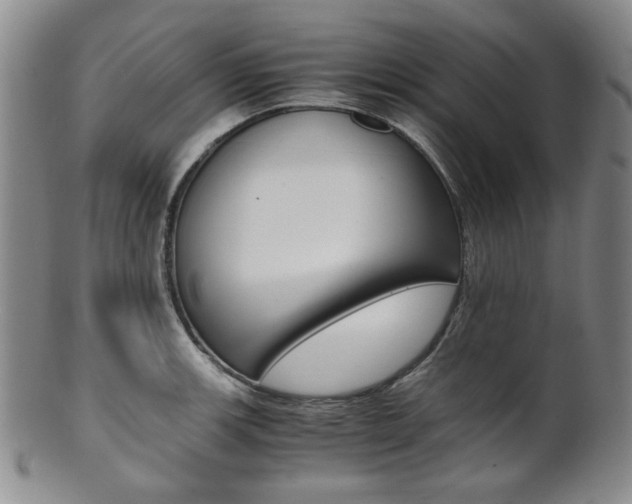X0000101681139200807101138