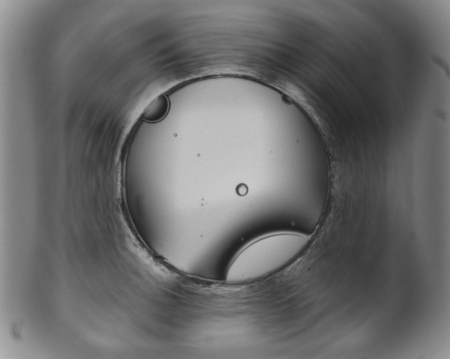 X0000101681140200807101138