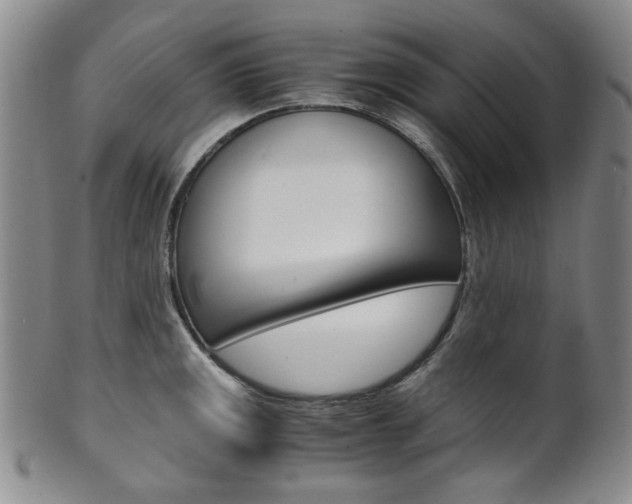 X0000101681141200807101138