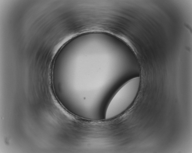 X0000101681142200807101138
