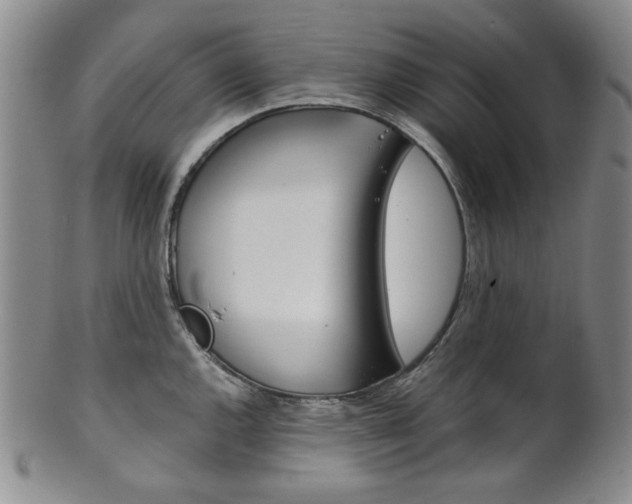 X0000101681144200807101138