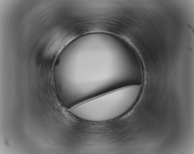 X0000101681145200807101138
