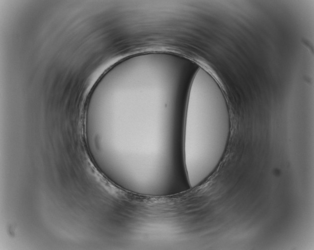 X0000101681148200807101138