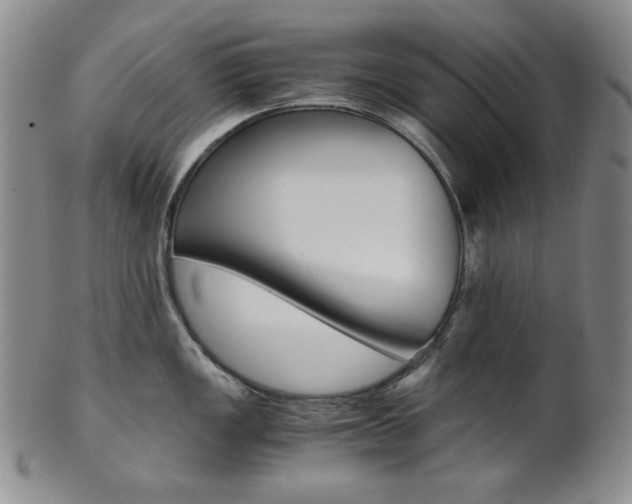 X0000101681149200807101138