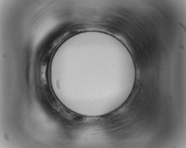 X0000101681150200807101138