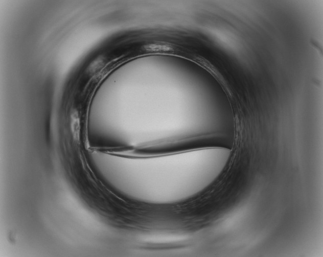 X0000101681151200807101138