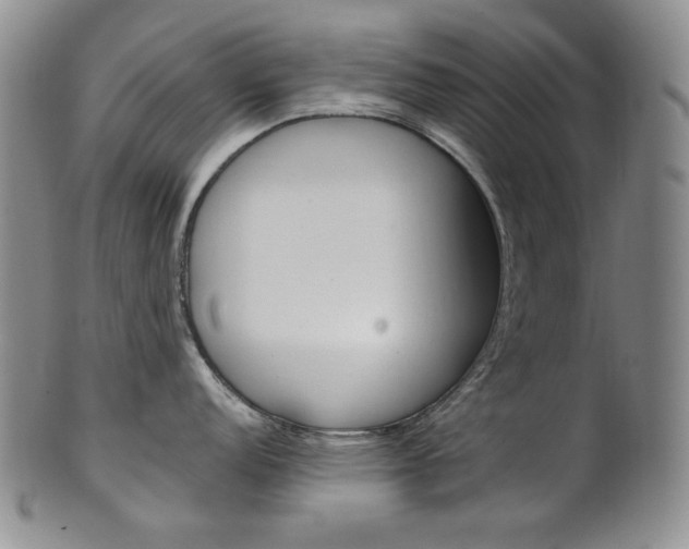X0000101681152200807101138