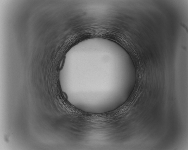 X0000101681153200807101137
