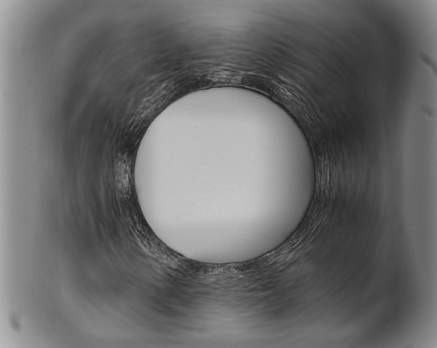 X0000101681154200807101137