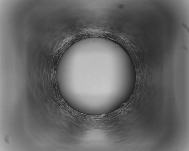 X0000101681157200807101137