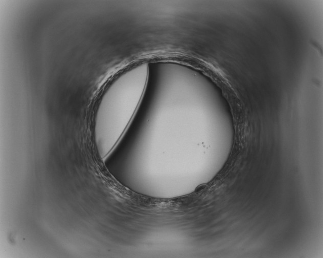 X0000101681160200807101137