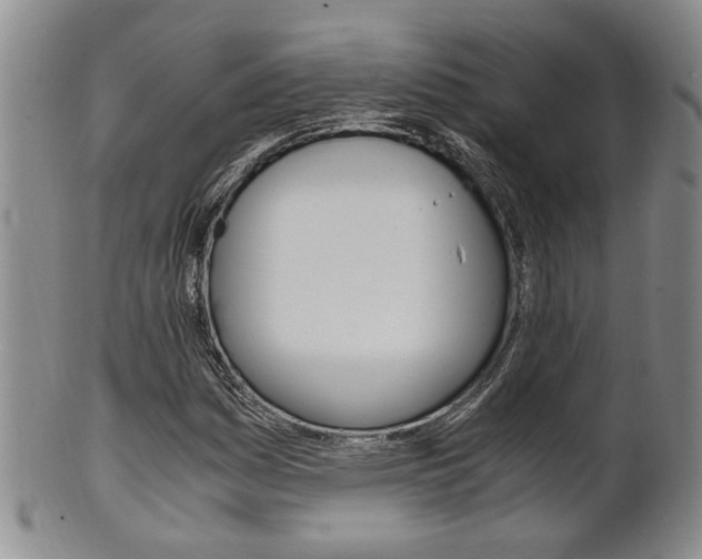 X0000101681161200807101137