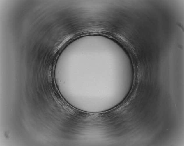 X0000101681162200807101137