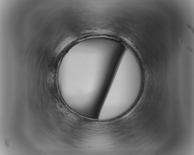X0000101681163200807101137