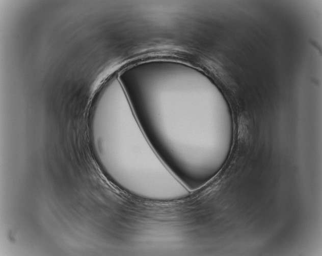 X0000101681164200807101137