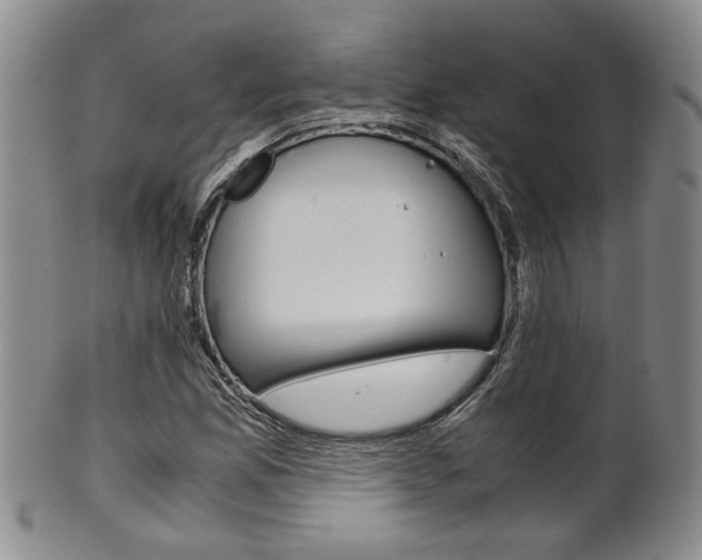 X0000101681165200807101137