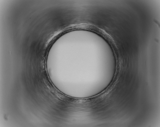 X0000101681166200807101137