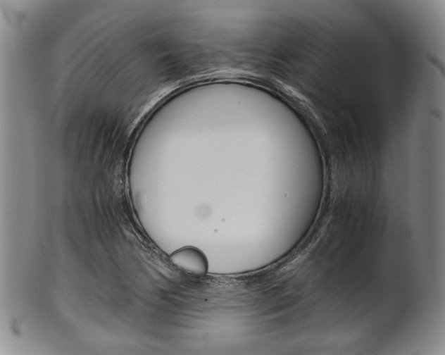 X0000101681170200807101137
