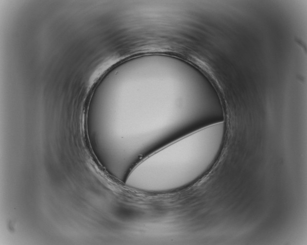 X0000101681179200807101137