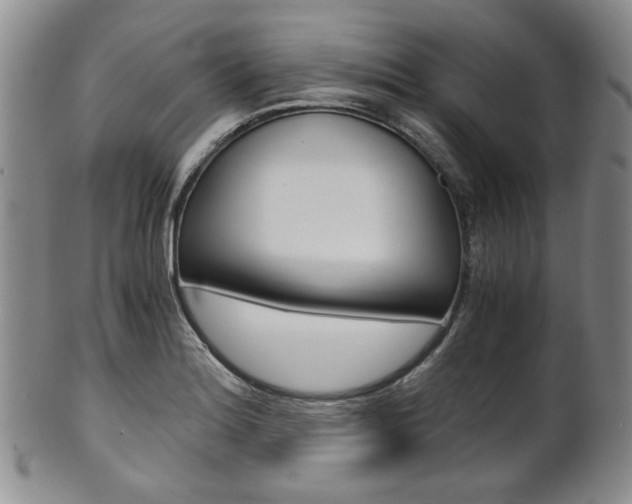 X0000101681180200807101137