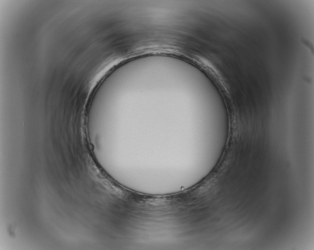 X0000101681182200807101137