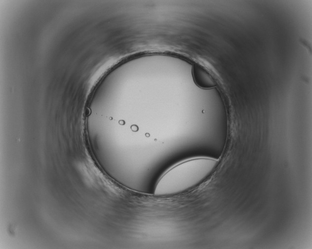 X0000101681183200807101137