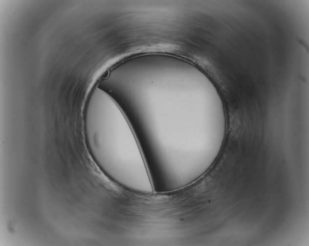 X0000101681184200807101137