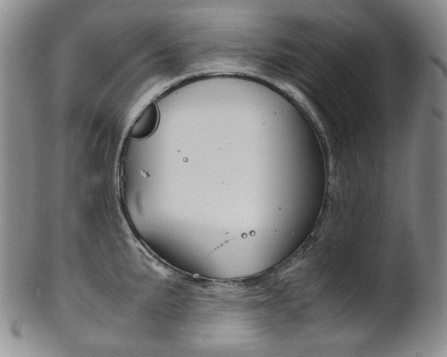 X0000101681191200807101137